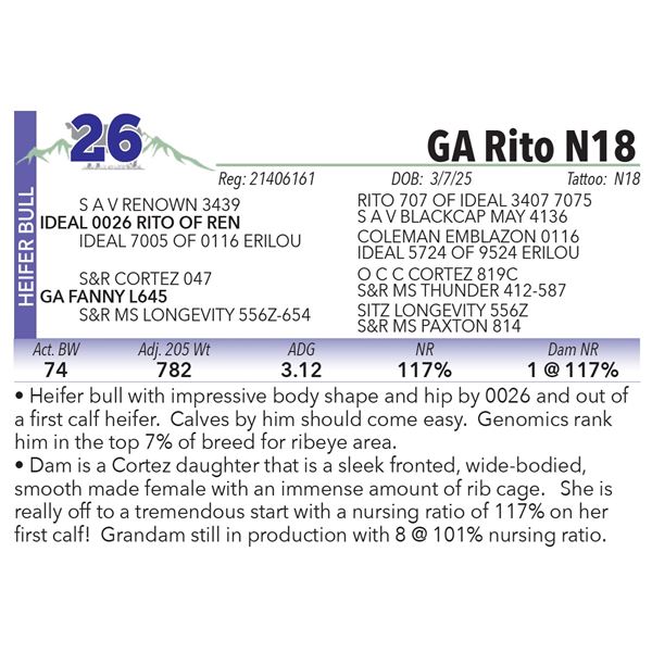 GA Rito N18