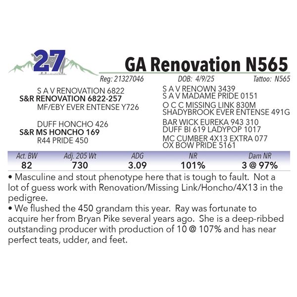GA Renovation N565