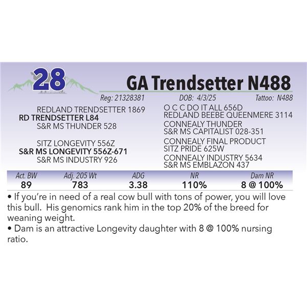 GA Trendsetter N488