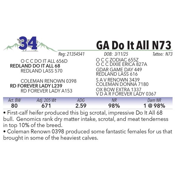 GA Do It All N73