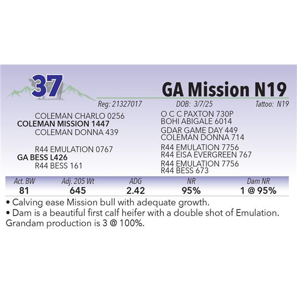 GA Mission N19