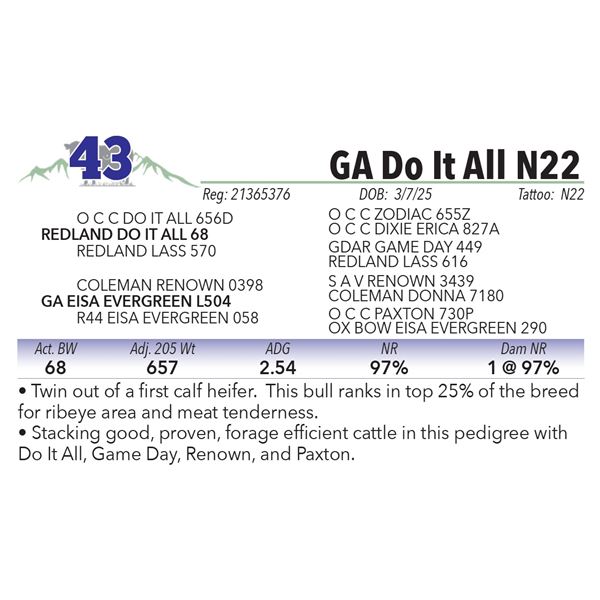 GA Do It All N22