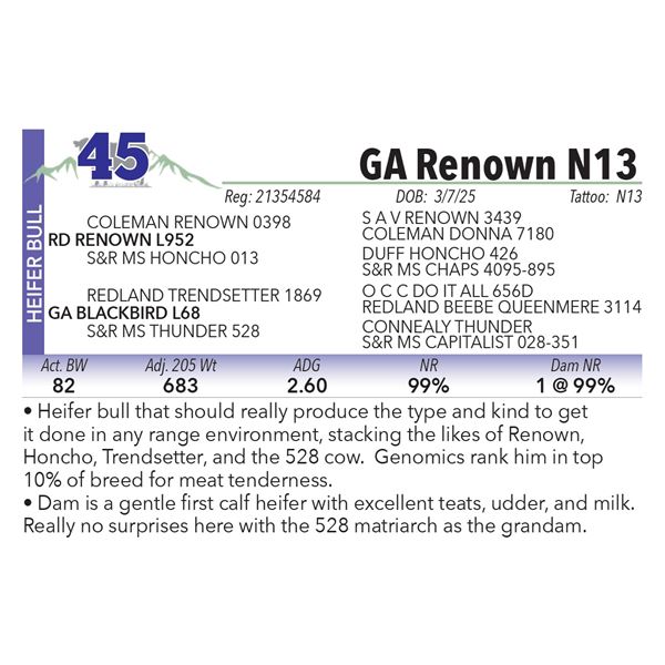 GA Renown N13