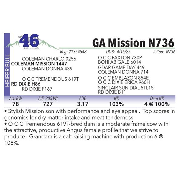 GA Mission N736