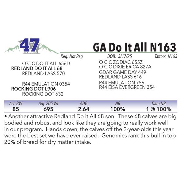 GA Do It All N163
