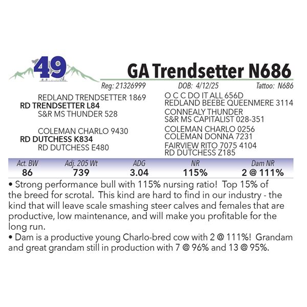 GA Trendsetter N686
