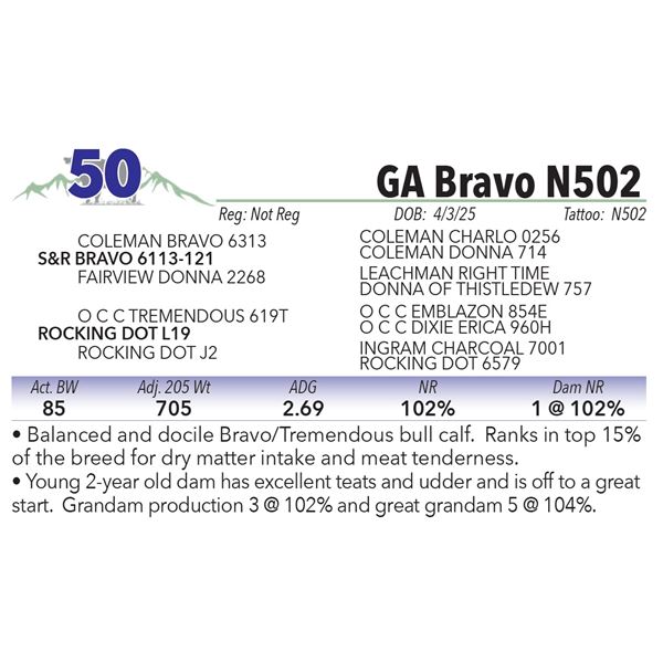 GA Bravo N502