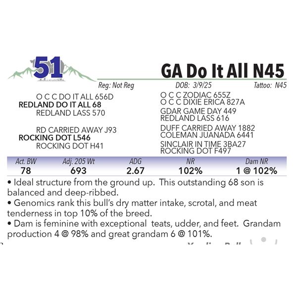 GA Do It All N45