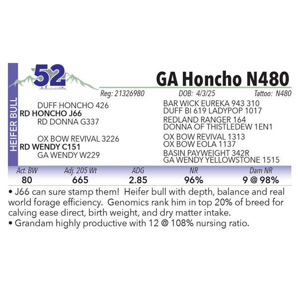 GA Honcho N480