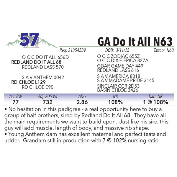 GA Do It All N63