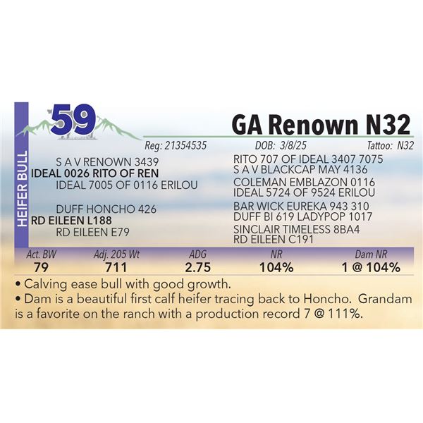GA Renown N32