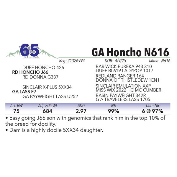 GA Honcho N616