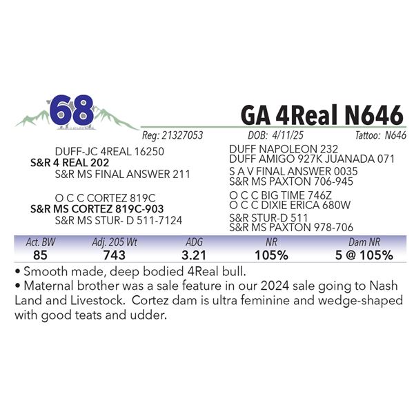 GA 4Real N646