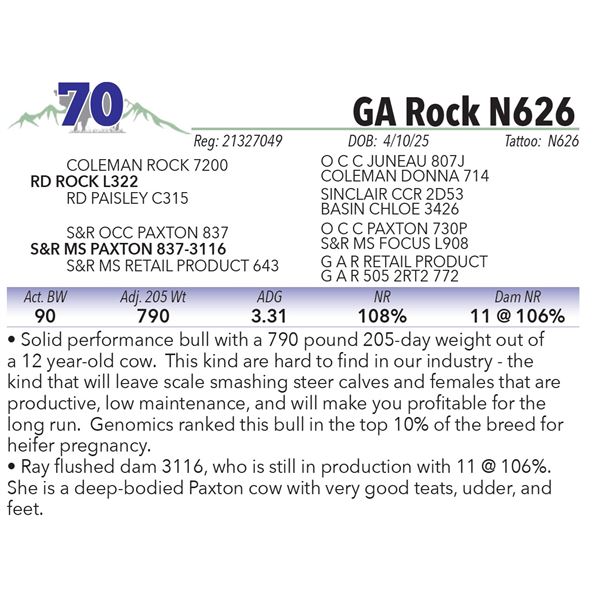 GA Rock N626