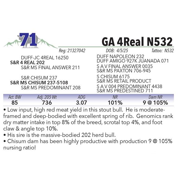 GA 4Real N532
