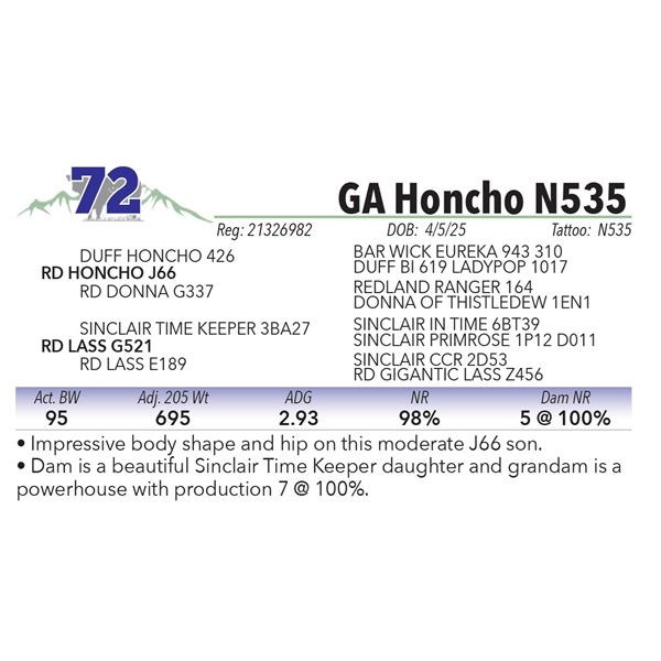 GA Honcho N535