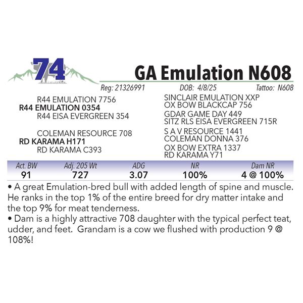 GA Emulation N608