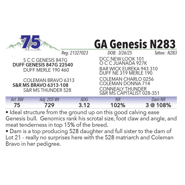 GA Genesis N283