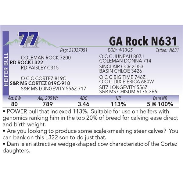 GA Rock N631