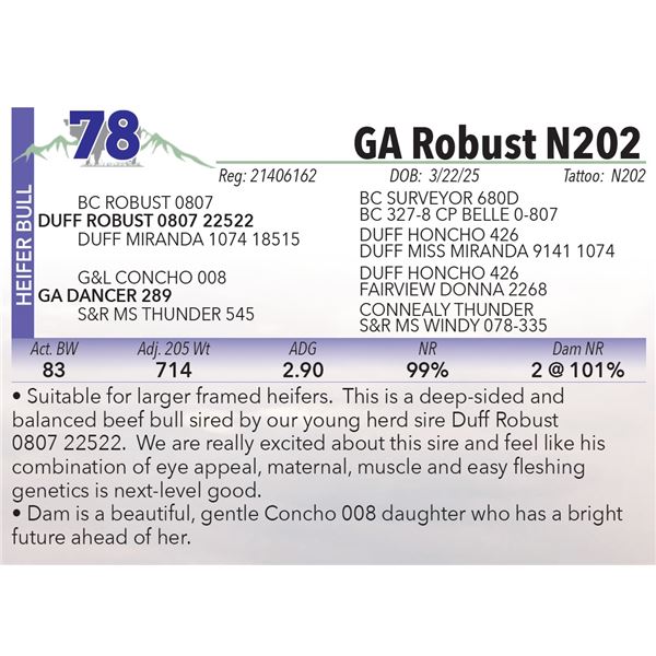 GA Robust N202