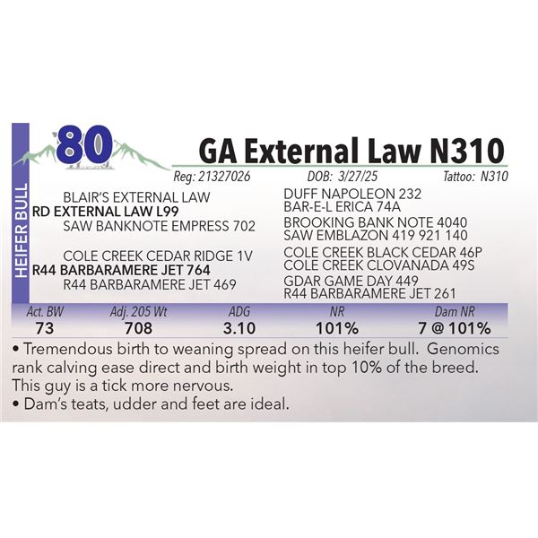 GA External Law N310
