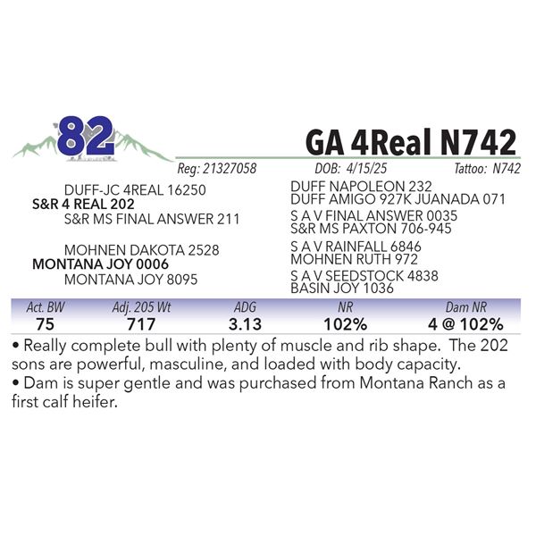 GA 4Real N742