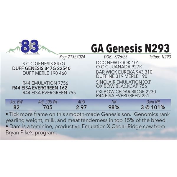 GA Genesis N293