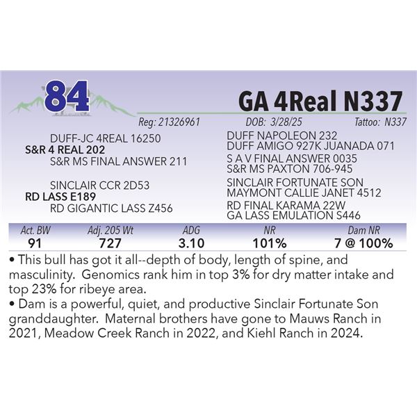 GA 4Real N337