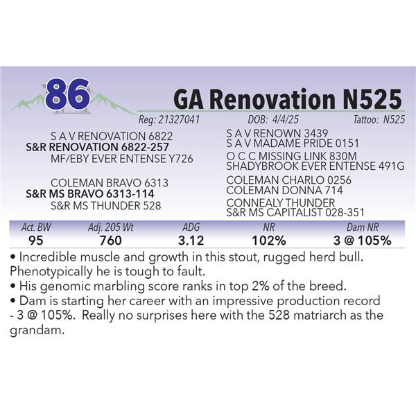 GA Renovation N525