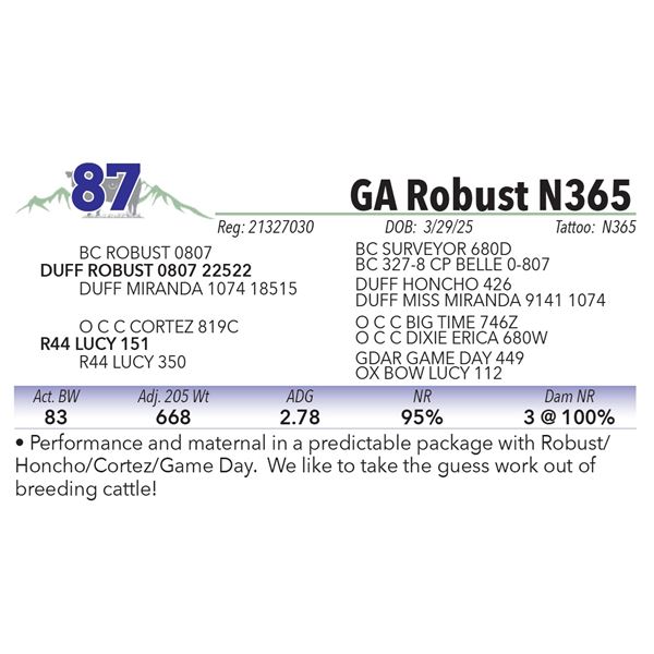 GA Robust N365