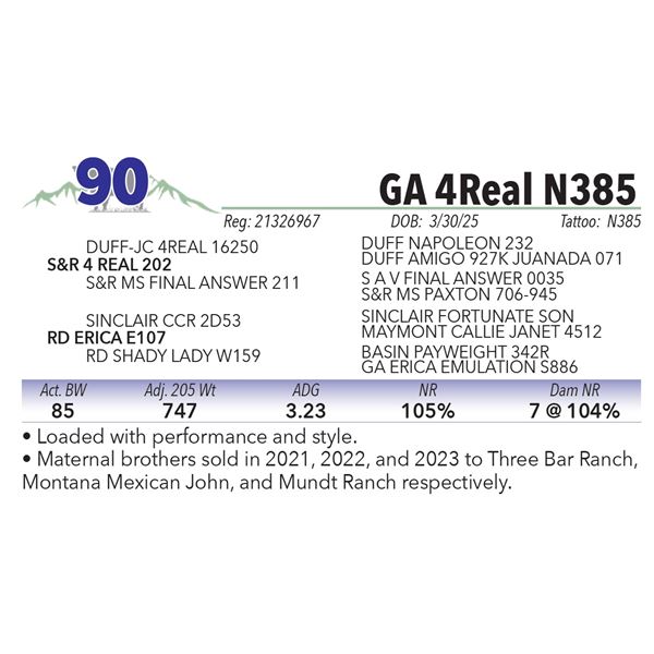 GA 4Real N385
