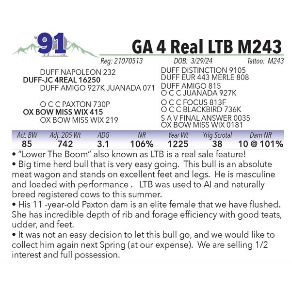 GA 4 Real LTB M243