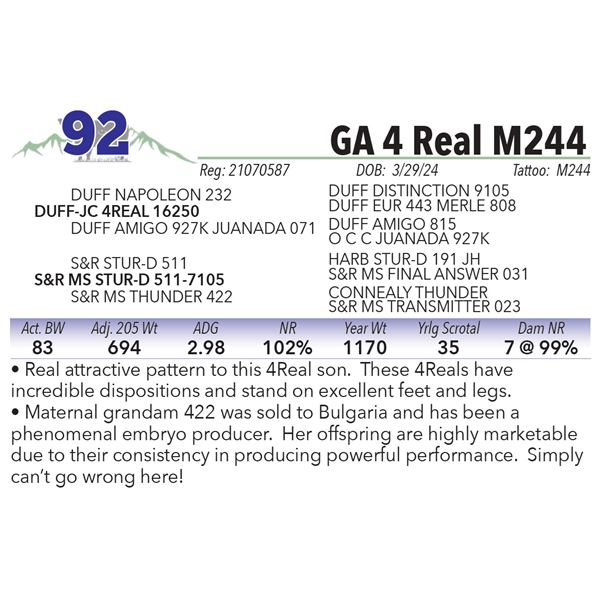 GA 4 Real M244