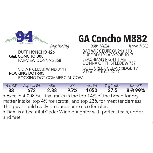 GA Concho M882