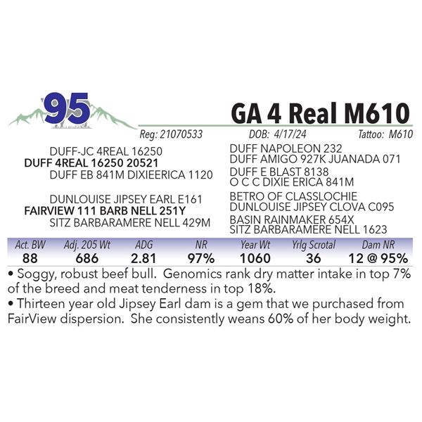GA 4 Real M610