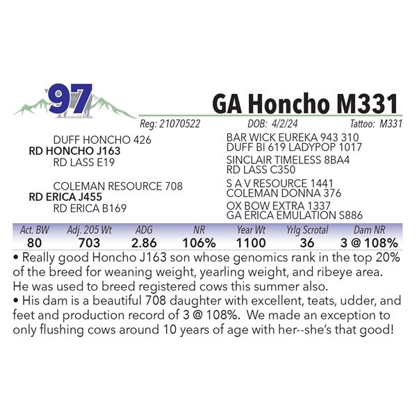 GA Honcho M331