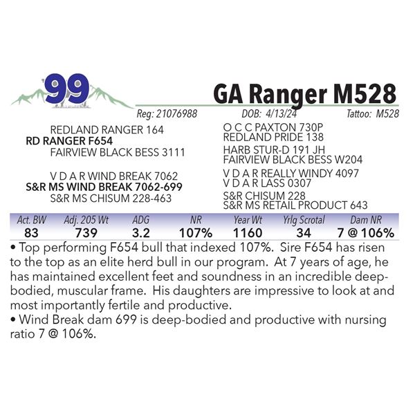 GA Ranger M528