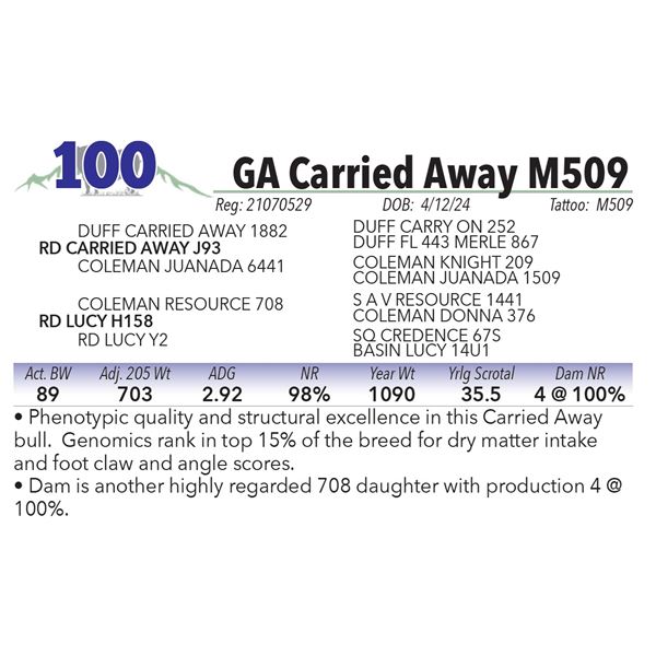 GA Carried Away M509