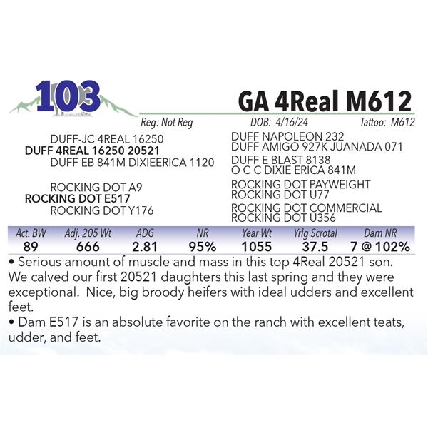 GA 4Real M612