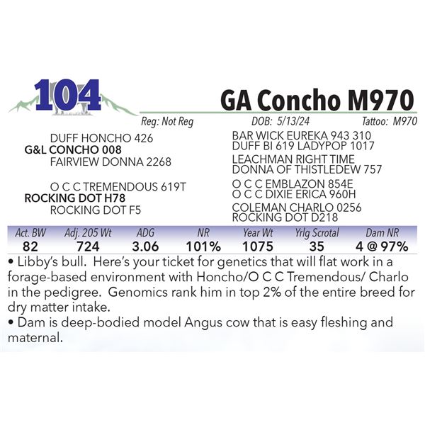 GA Concho M970