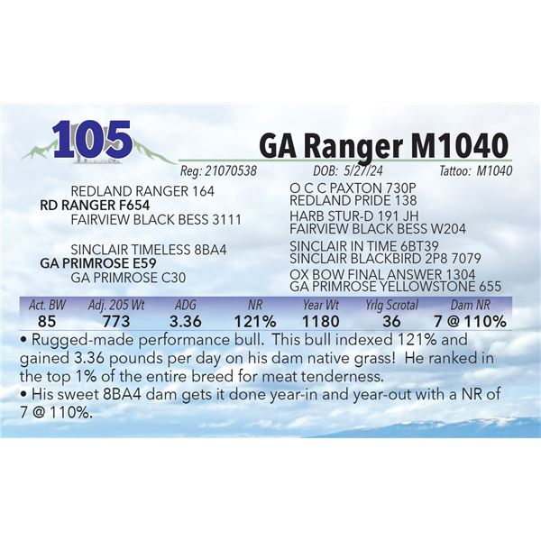 GA Ranger M1040
