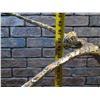 Image 13 : Reaching Figure Abstract Statue on Stone Base 30"H