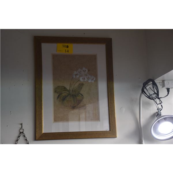 FRAMED ORCHID PRINT (21" X 27 1/4")