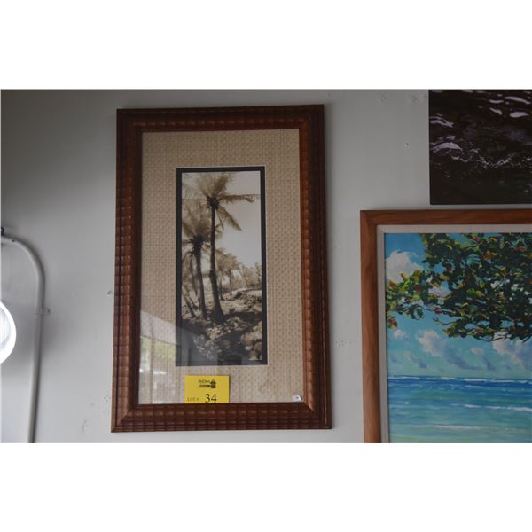 FRAMED TOMMY BAHAMA PRINT, COCONUT TREES (20 1/2  X 32 )