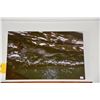 Image 2 : WAVE PHOTOGRAPH ON TIN; SIGNED (18" X 12")