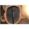 Image 8 : AFRICAN TRIBAL HELMET MASK W/SHELLS & BEADS ON STAND