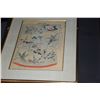 Image 3 : JAPANESE KIMONO PRINTS IN GOLD FRAMES (1 CRACKED GLASS) (7 PCS)