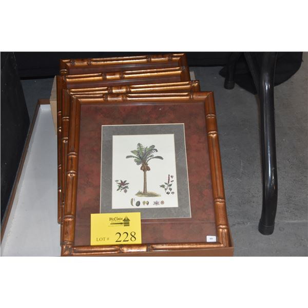 FRAMED PRINTS, PALM TREES (4 PCS)