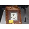 Image 1 : FRAMED PRINTS, PALM TREES (4 PCS)