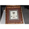 Image 3 : FRAMED PRINTS, PALM TREES (4 PCS)
